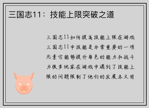 三国志11：技能上限突破之道
